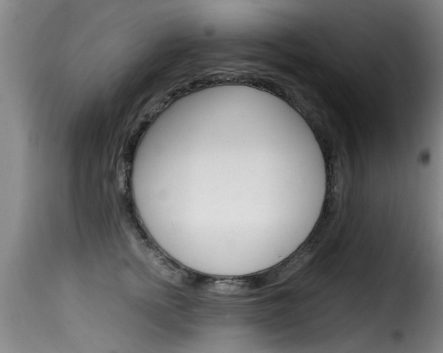 X0000116060758200911201200