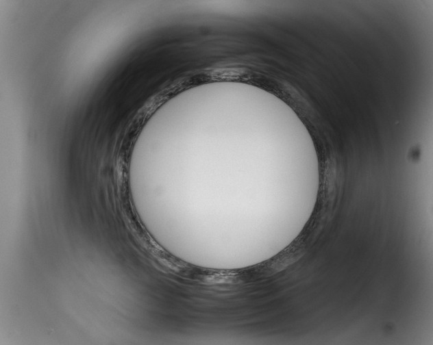 X0000116060761200911201200