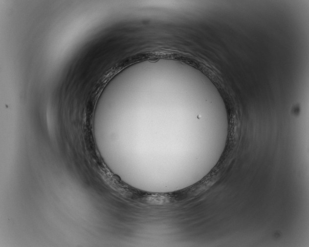 X0000116060762200911201200