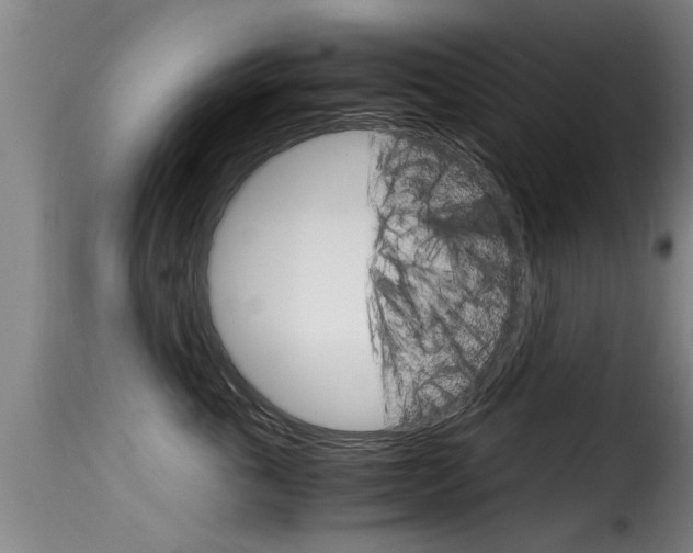 X0000116060763200911201200