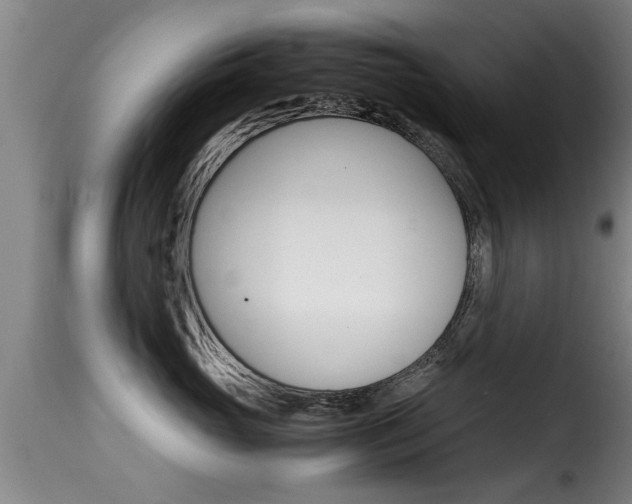 X0000116060765200911201200