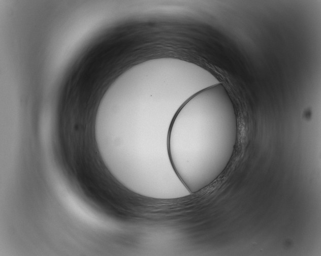 X0000116060766200911201200