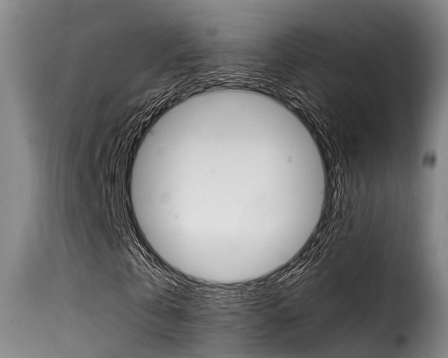 X0000116060769200911201200