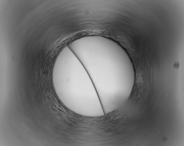 X0000116060773200911201200