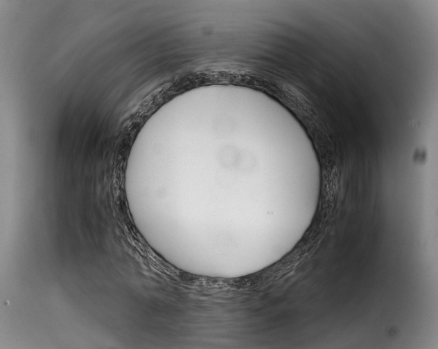 X0000116060774200911201200