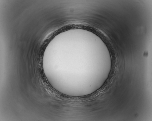 X0000116060775200911201200