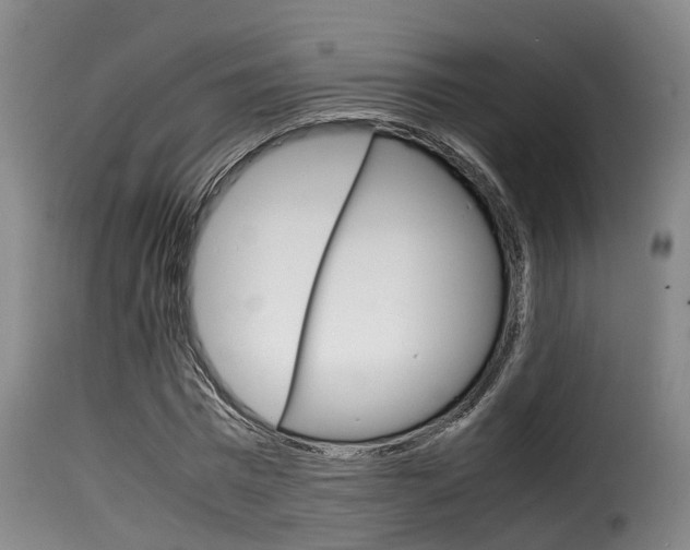 X0000116060777200911201200