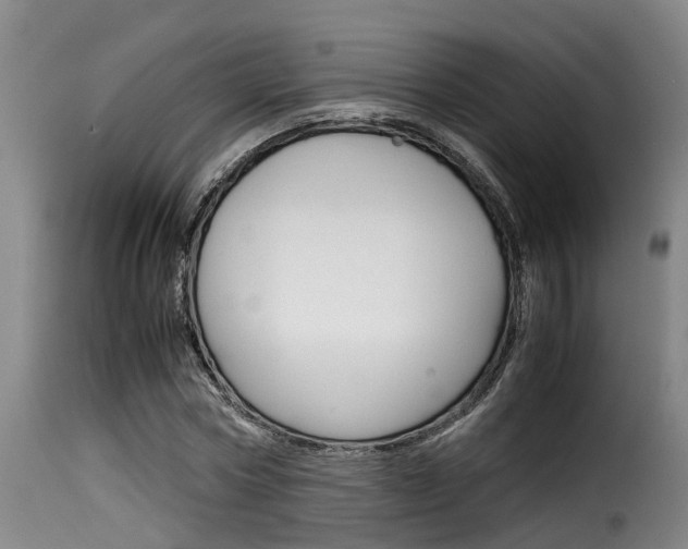 X0000116060778200911201200