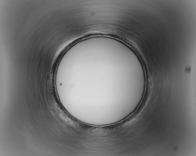 X0000116060779200911201200