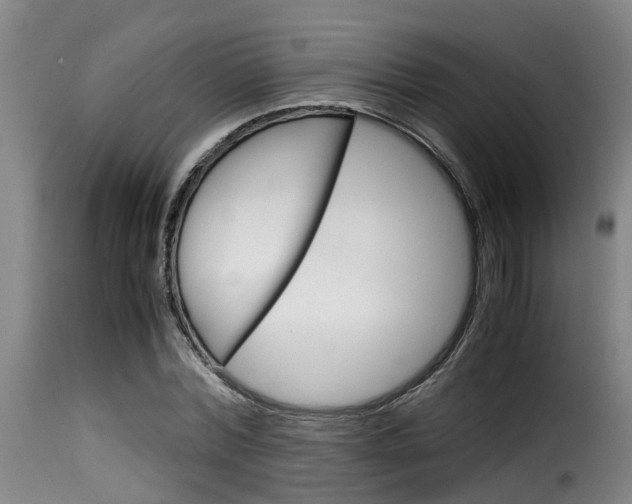 X0000116060780200911201200