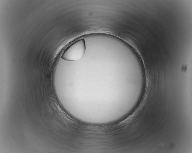 X0000116060781200911201200