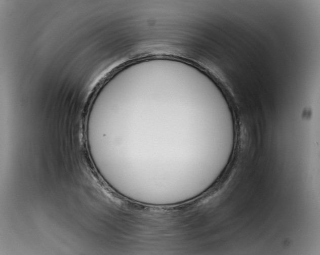 X0000116060782200911201200