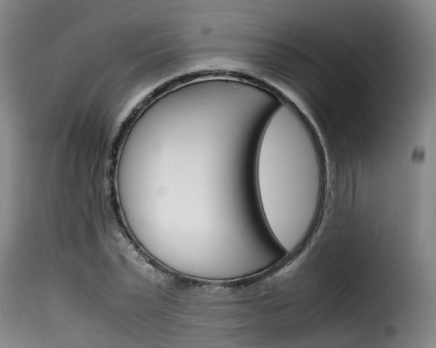 X0000116060783200911201159
