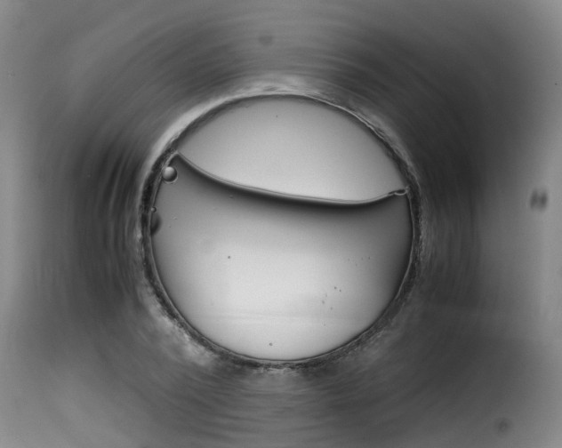 X0000116060784200911201159