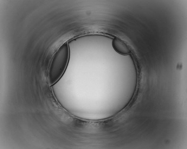 X0000116060785200911201159