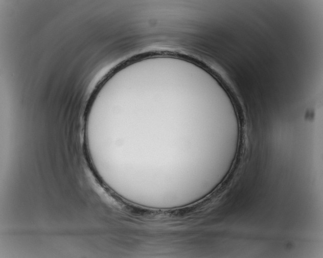 X0000116060791200911201159