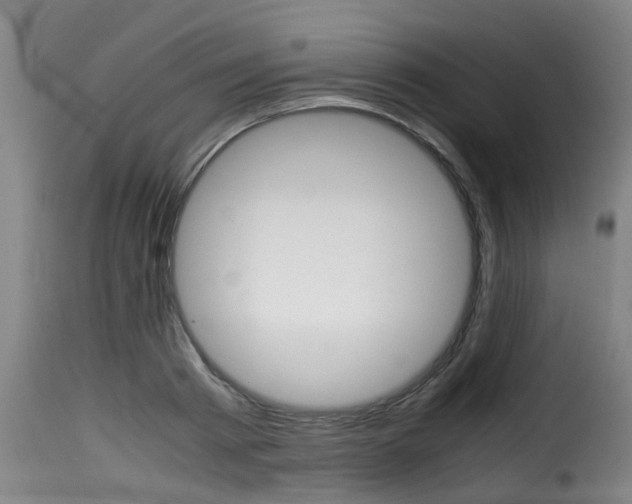 X0000116060793200911201159