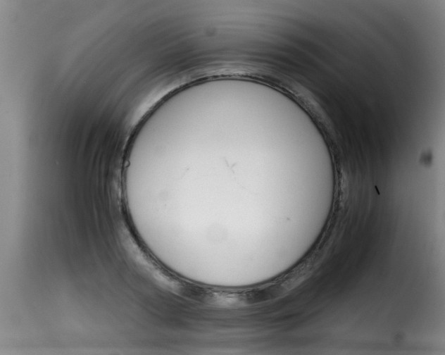 X0000116060794200911201159
