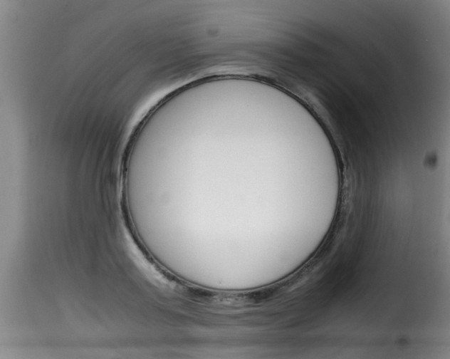 X0000116060795200911201159