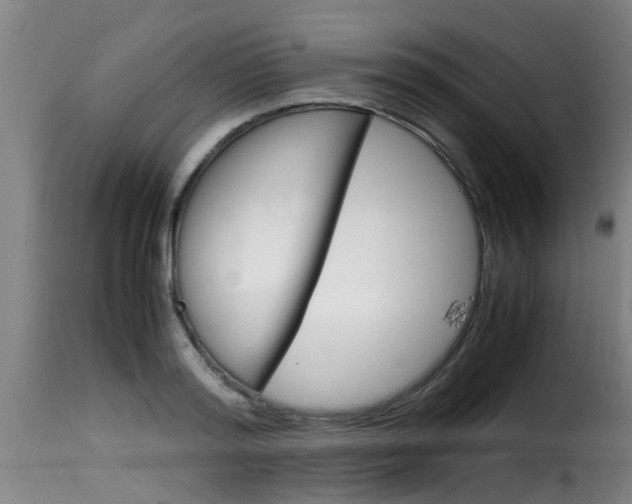 X0000116060796200911201159