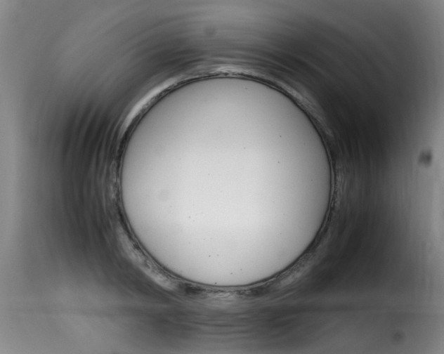 X0000116060798200911201159