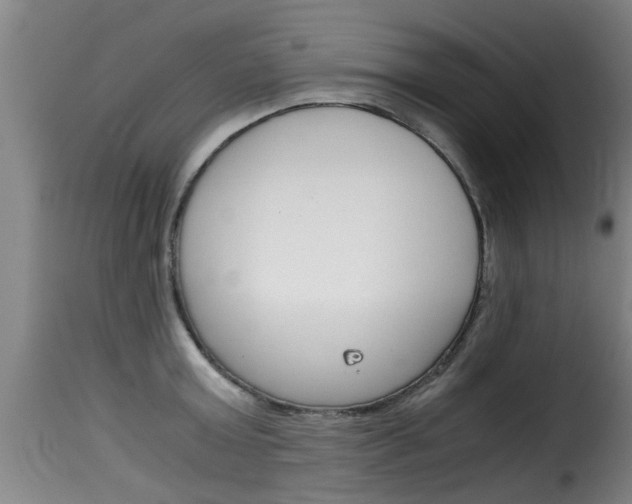 X0000116060803200911201159