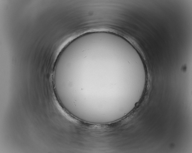 X0000116060805200911201159