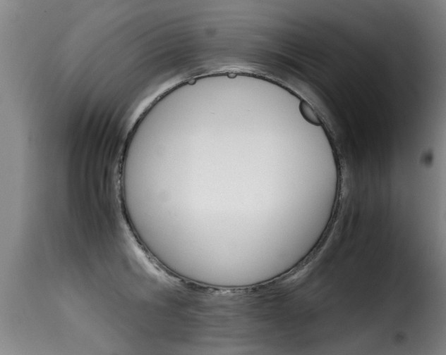 X0000116060806200911201159