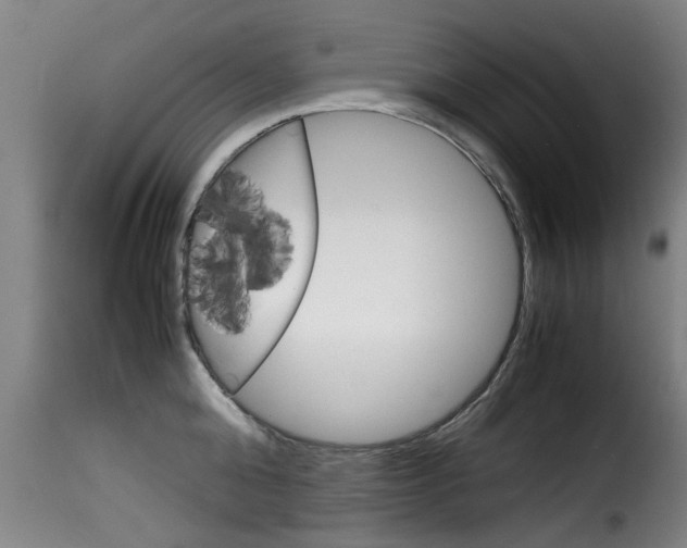 X0000116060808200911201159
