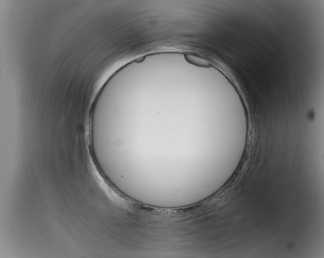 X0000116060811200911201159