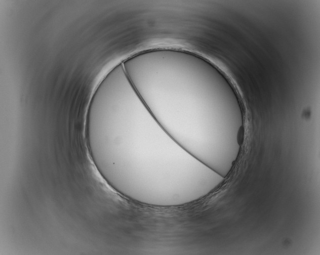 X0000116060815200911201159