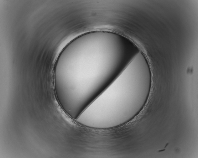 X0000116060816200911201159