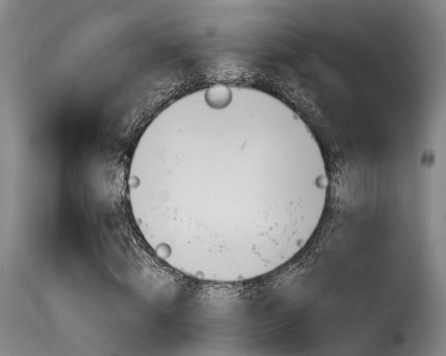 X0000116060820200911201158