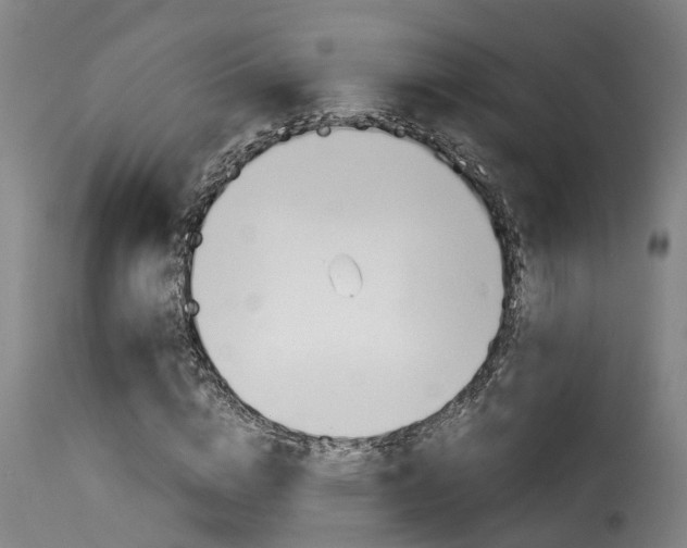 X0000116060824200911201158