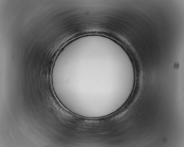 X0000116060825200911201158