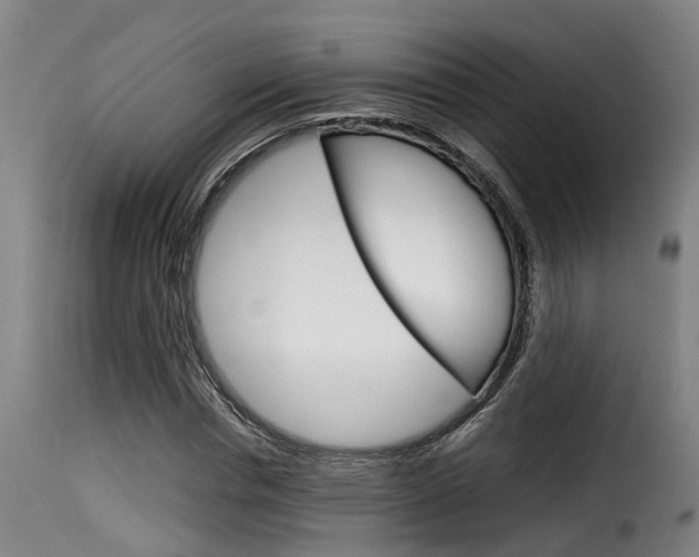 X0000116060826200911201158