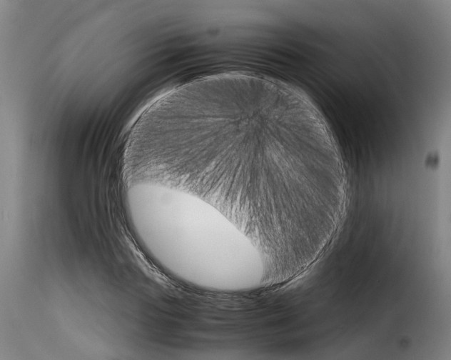 X0000116060827200911201159