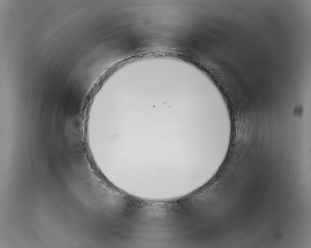 X0000116060828200911201159