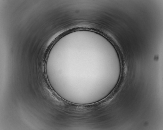 X0000116060829200911201159