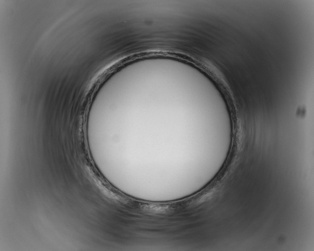 X0000116060831200911201159