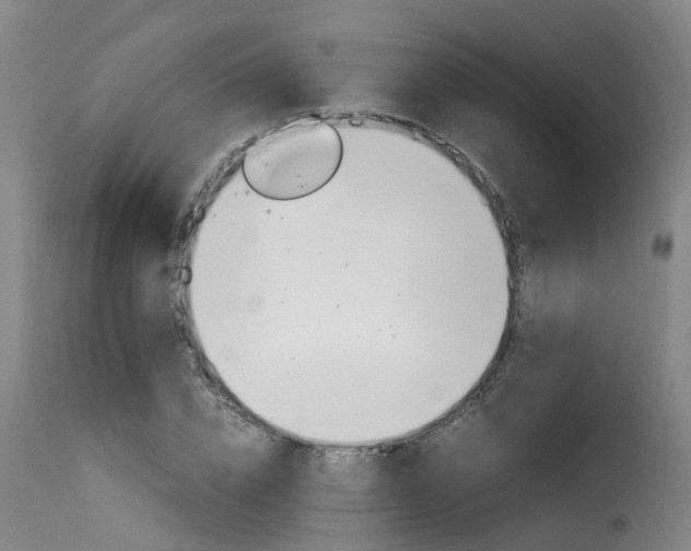 X0000116060832200911201159