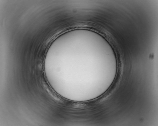 X0000116060833200911201159