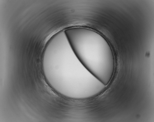 X0000116060834200911201159