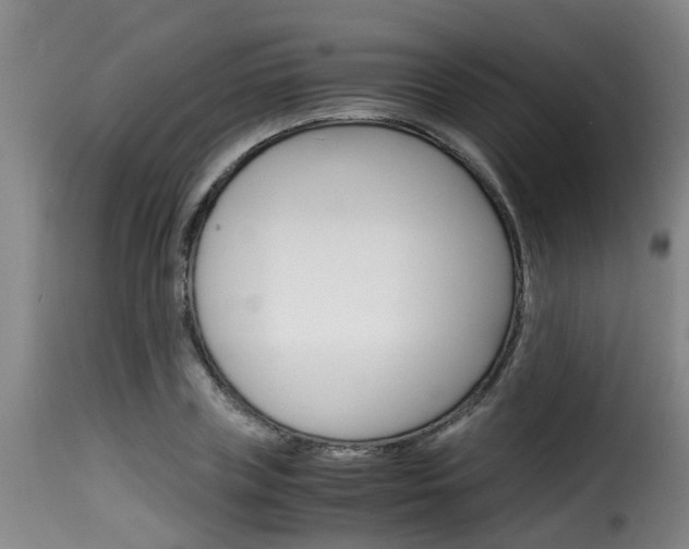 X0000116060835200911201159