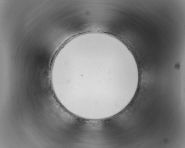X0000116060836200911201159