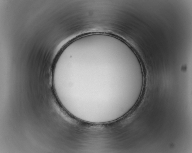 X0000116060838200911201159