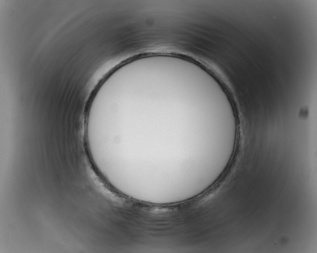 X0000116060839200911201159