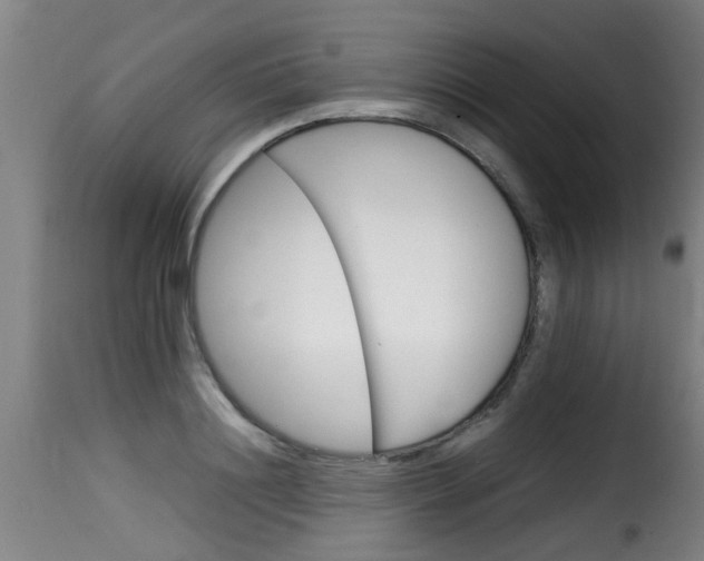 X0000116060844200911201159
