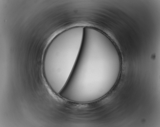 X0000116060845200911201159