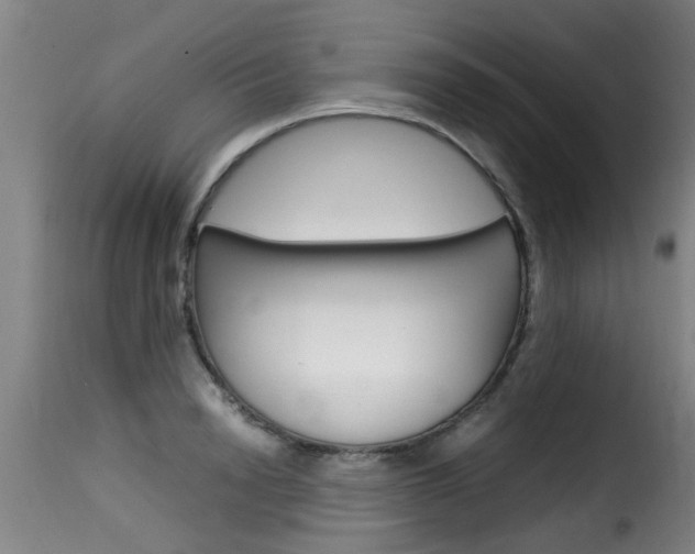 X0000116060846200911201159